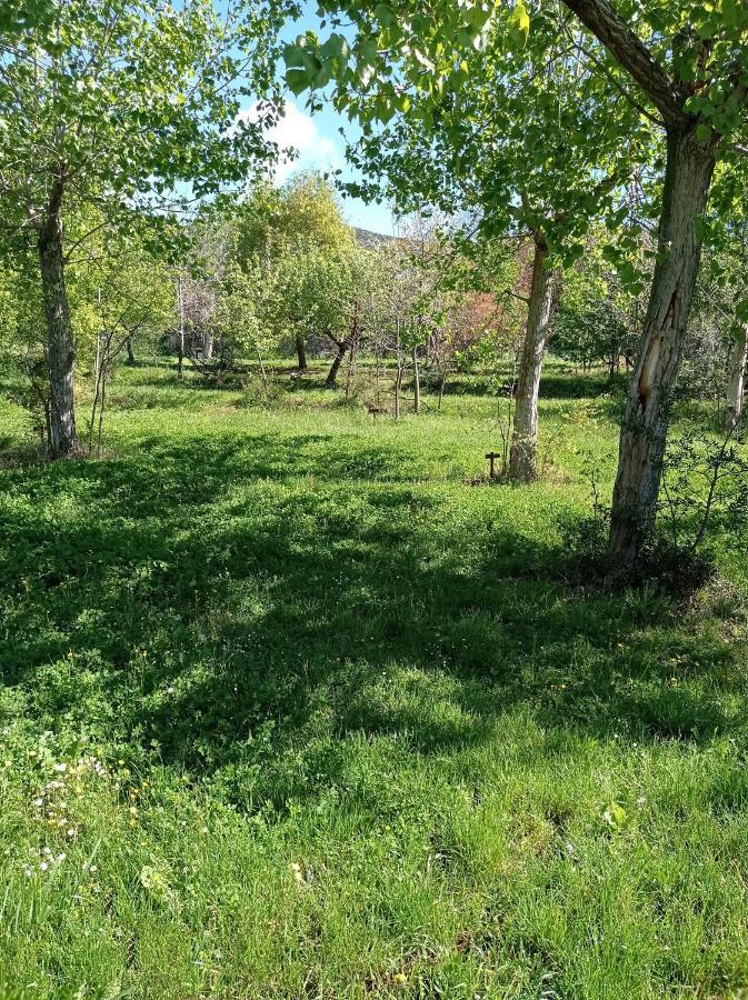 Camping Yaso-Guara Dış mekan fotoğraf