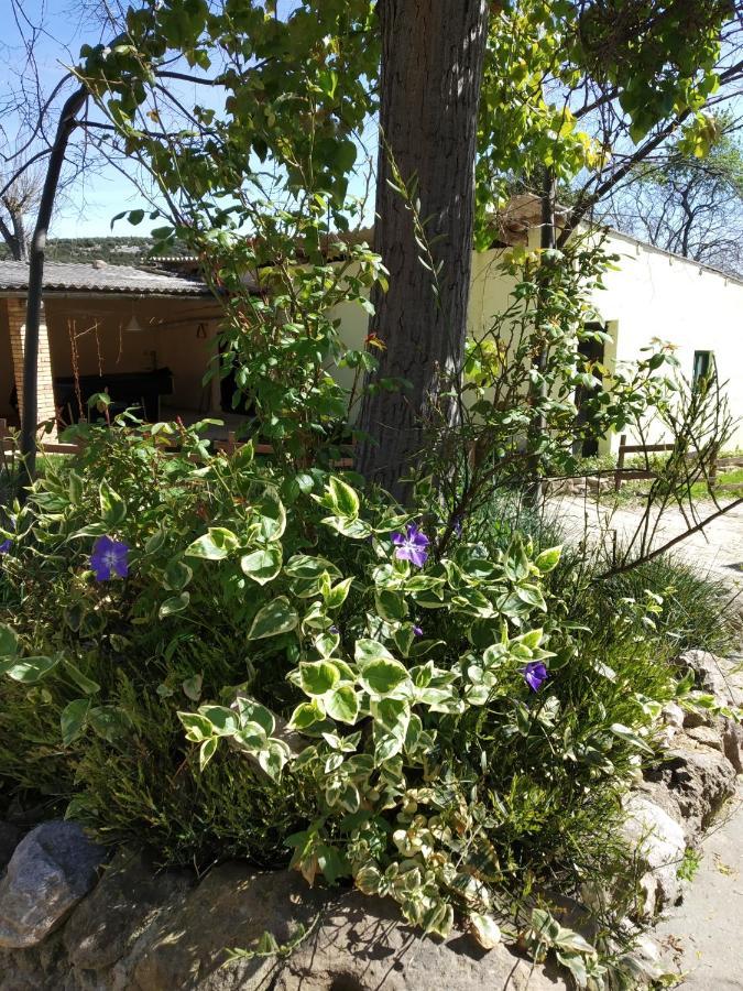 Camping Yaso-Guara Dış mekan fotoğraf